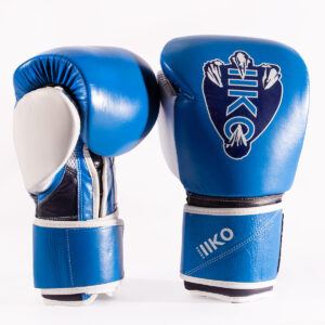 Drako Talon Boxing Gloves