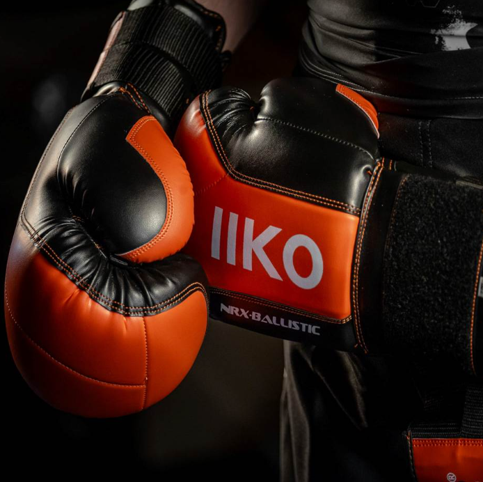Boxing Gloves | BUSHIDO
